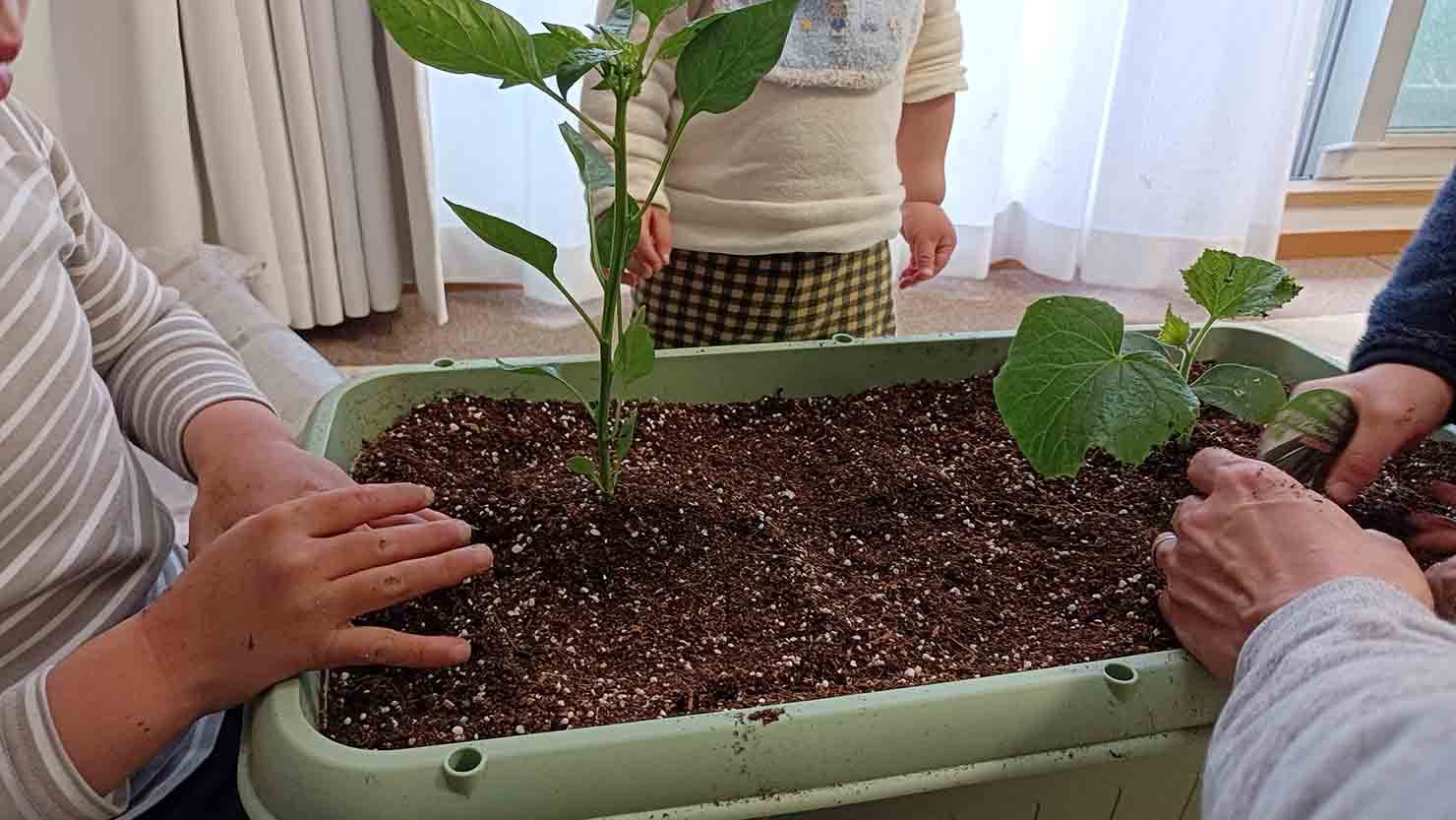 ホームズ プランターで野菜を育てよう ベランダ家庭菜園の魅力と始め方 暮らし方から物件探し